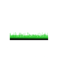 Roots Feed