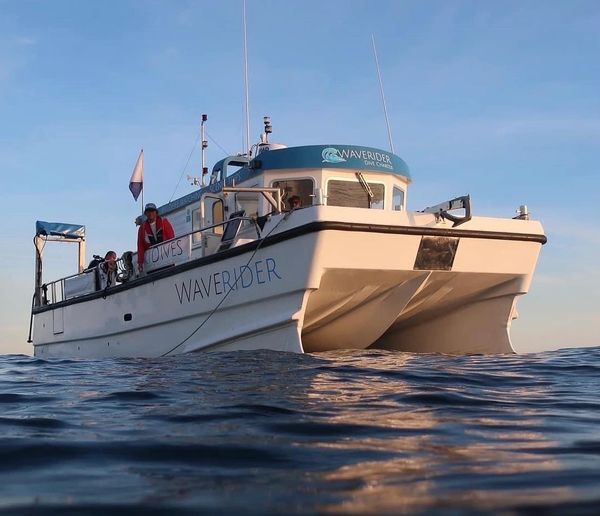 Waverider dive charter boat floating on calm ocean waters at sunset.