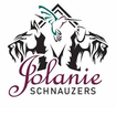 JOLANIE SCHNAUZERS