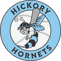 Hickory Hornets 
12U Black
