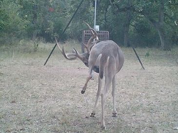 Deer hunting, hunting equipment, hunting