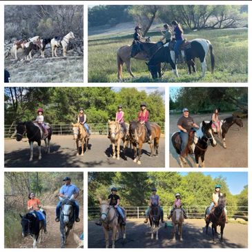 We have owned the ranch since 2013 and decided in 2020 to start sharing our love of horses and teach