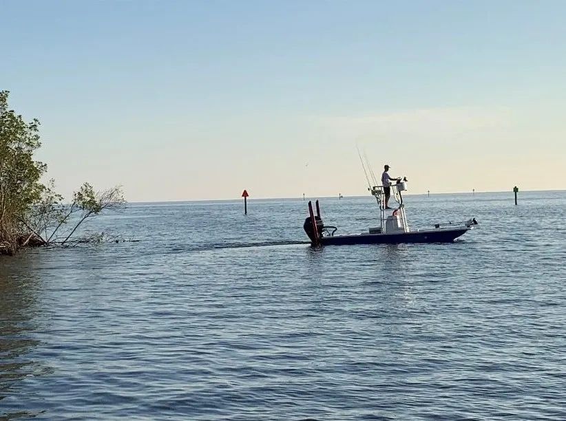 Fish Whistle Charters