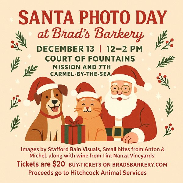 Santa Paws Photo Day at Brad's Barkery