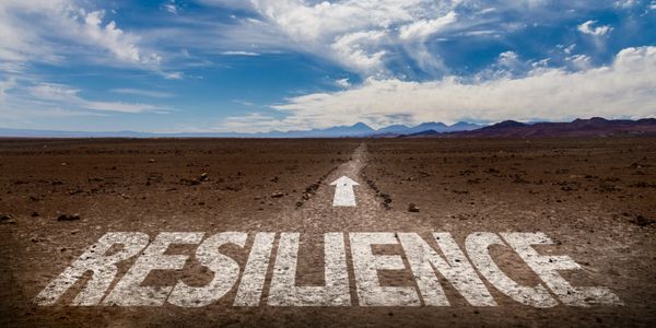 Resilience