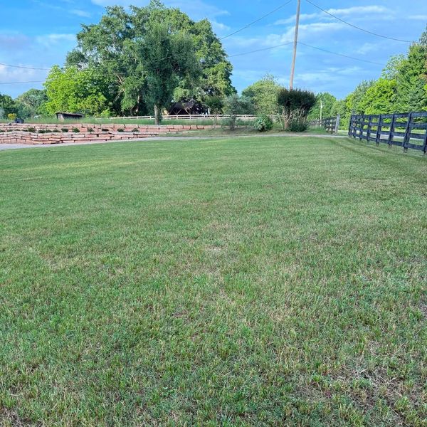 A large, well-maintained grassy lawn with trees and a fence under a blue sky.