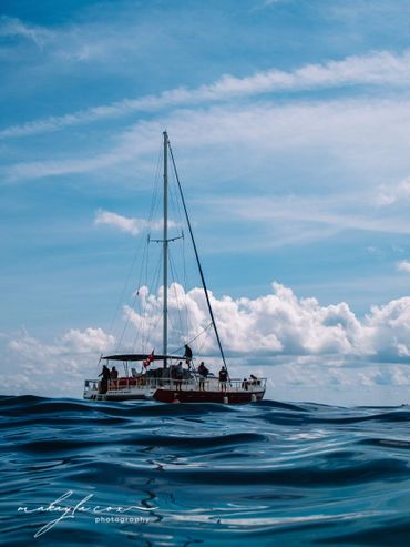 go on a sailing catamaran with acquarius sea tours in grand cayman