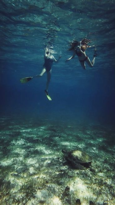 snorkel with the turtles in grand cayman