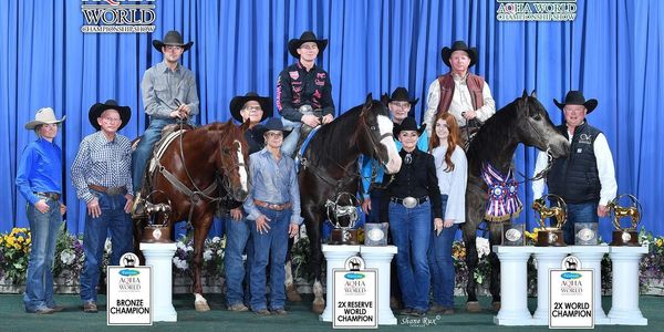 Group photo with horses and champions at AOEHA World Championship.