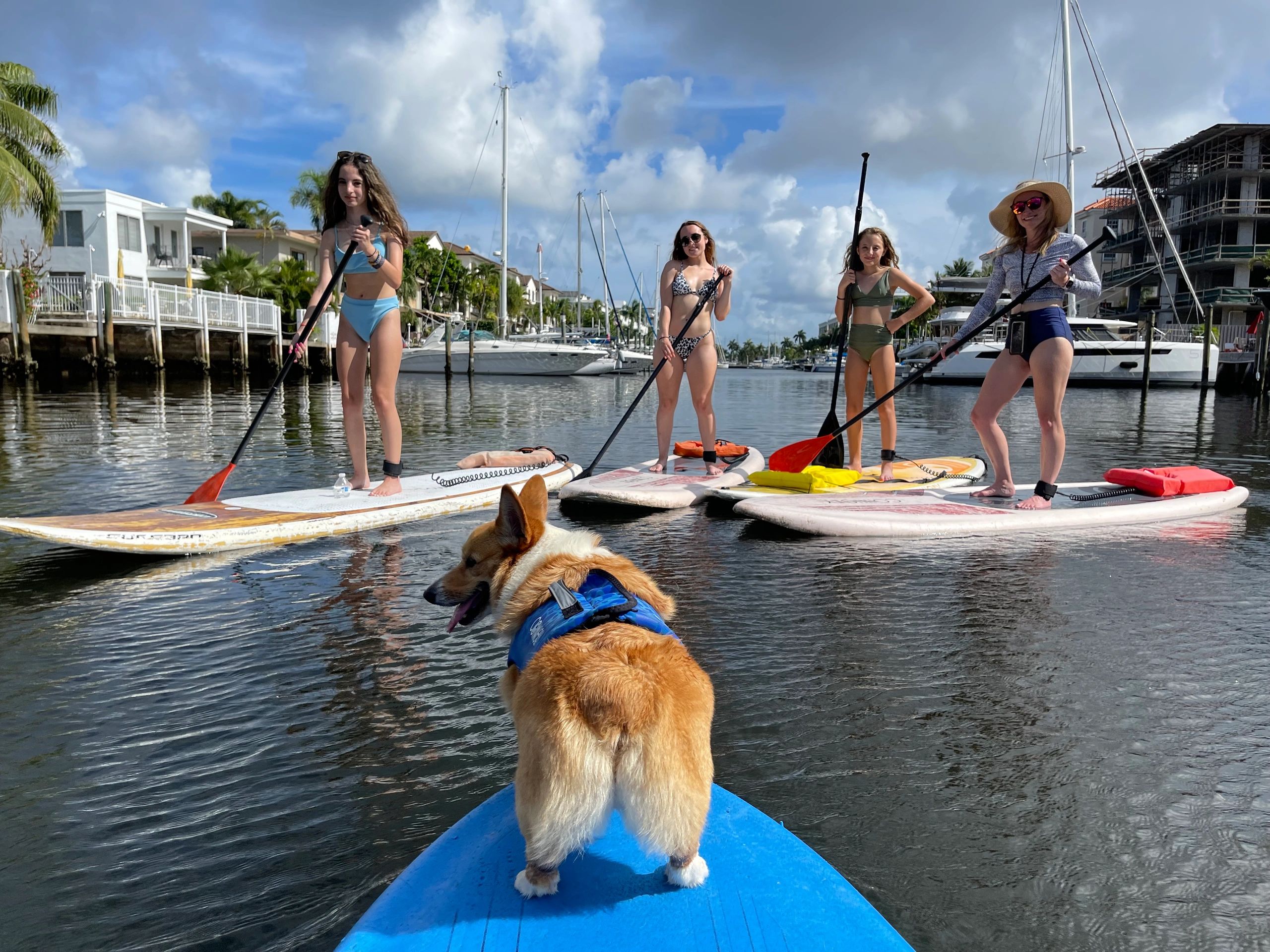Paddle boarding in Fort Lauderdale just got more fun with Mr. Beaches, the corgi tour guide!