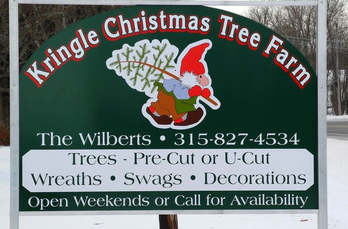 Kringle Christmas Tree Farm Christmas Trees Honey Maple Syrup