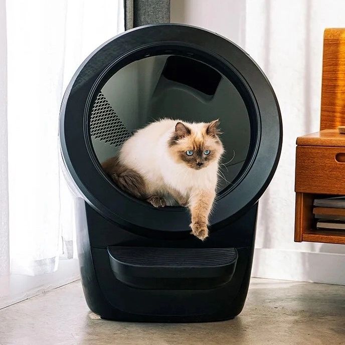 Litter robot, life changing, clean cats