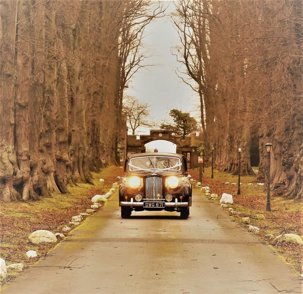 Car driving down the long driveway to Carberry Towers