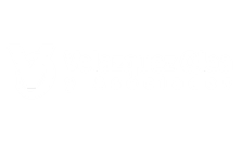 Velazquez Olea y Asociados