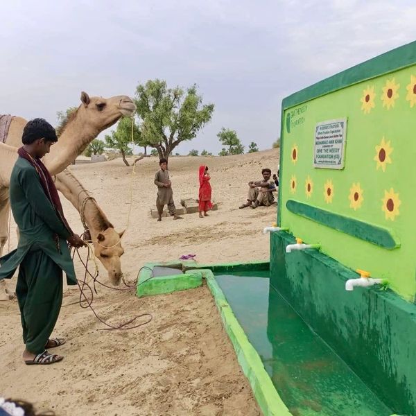 Camels and a man near a water trough in a desert setting.