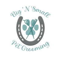 Big 'N Small Pet Grooming
