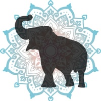 Yoga Flow & Let Go