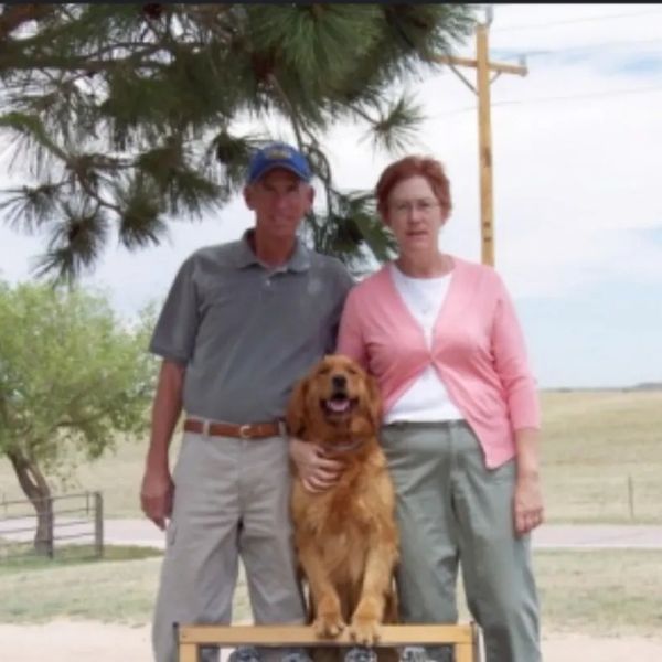 A couple posing outdoors with their golden retriever under a tree.