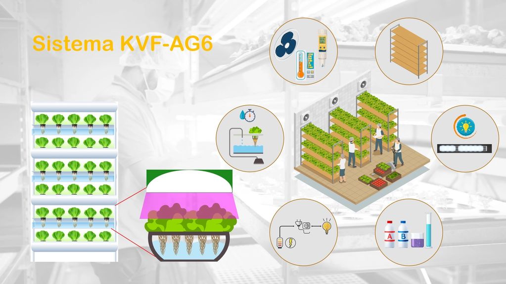 Sistema de Cultivo en Ambiente Controlado KVF-AG6 80% menos agua LEDs sin pesticidas sin herbicidas