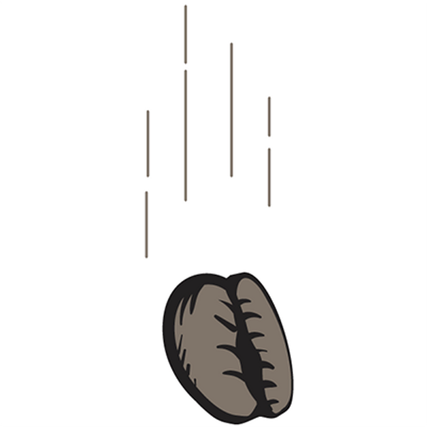 Bean Drop Illustration