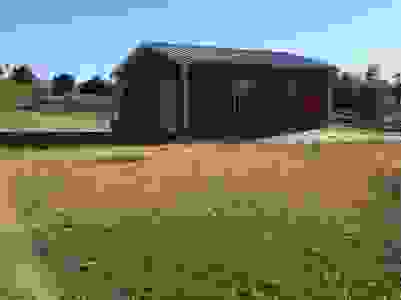 Texas Country Cats - Selkirk Rex Cats, Breeder, Cats