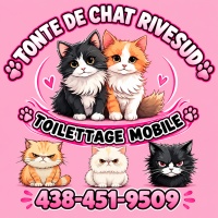 Tonte de Chat RiveSud 

Toilettage Mobile 