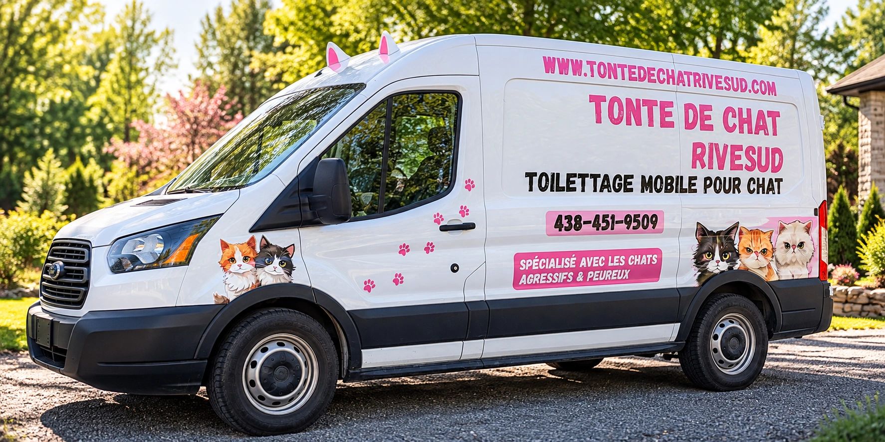 Camion de tonte et toilettage mobile pour chats. spécialisé avec les chats agressifs et peureux 