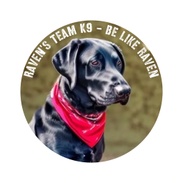 Raven's Team K9