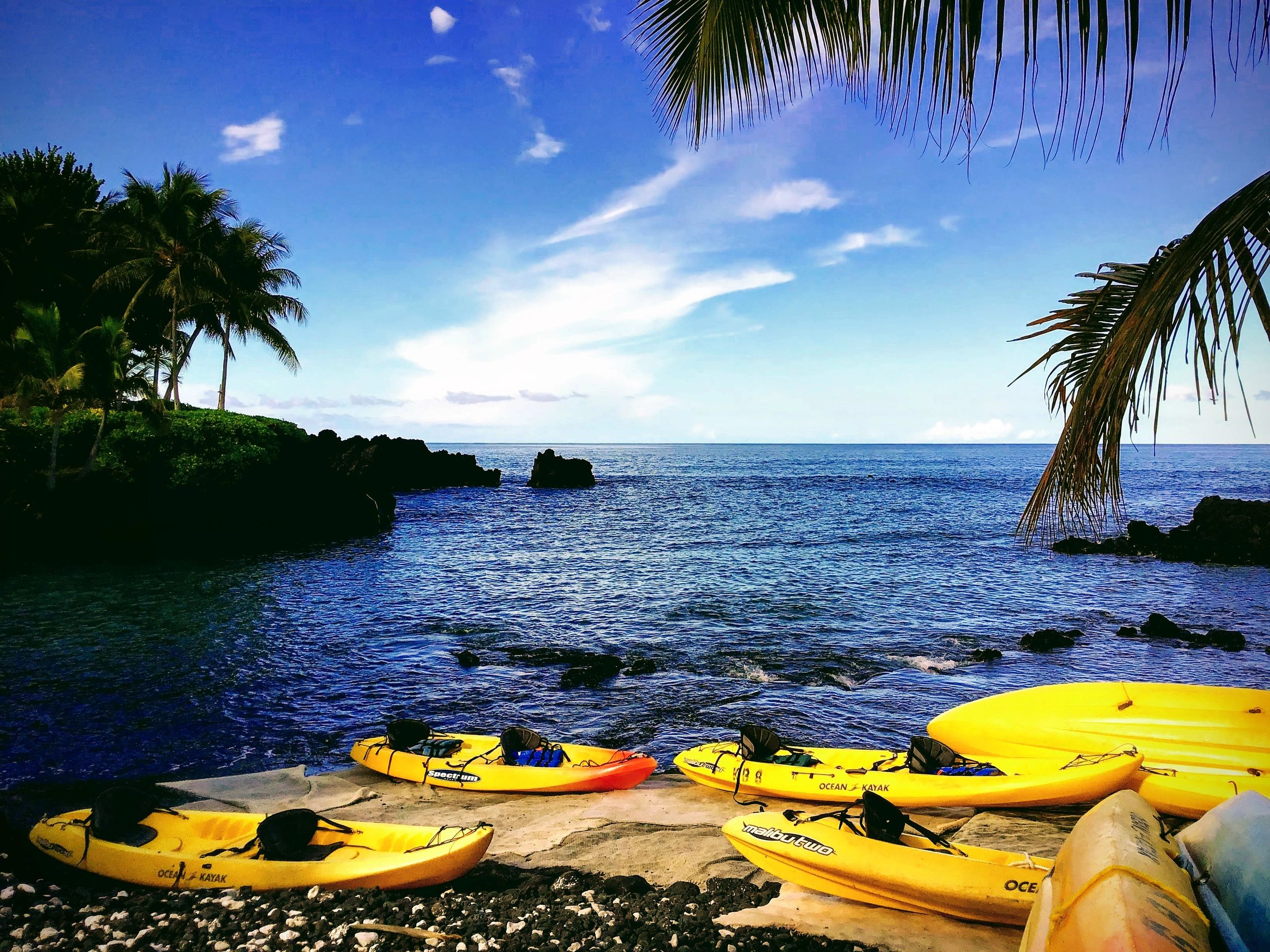 Experience the Thrill of Sea Kayaking at South Kona Beach Rentals