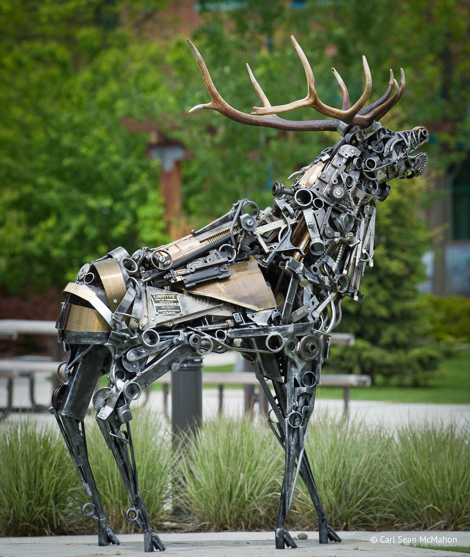 Metal sculpture of a deer with realistic antlers in a park.