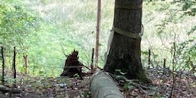 Power is available at two locations on the adjacent  public road which is maintained by tge State.