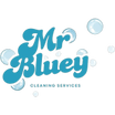Mr Bluey