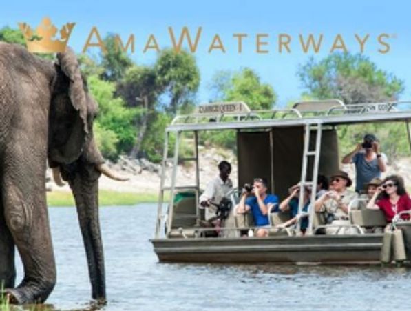 Tourists on a boat observing an elephant near the water.