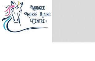 mudgee horse riding centre
ph: 0403 315 889
