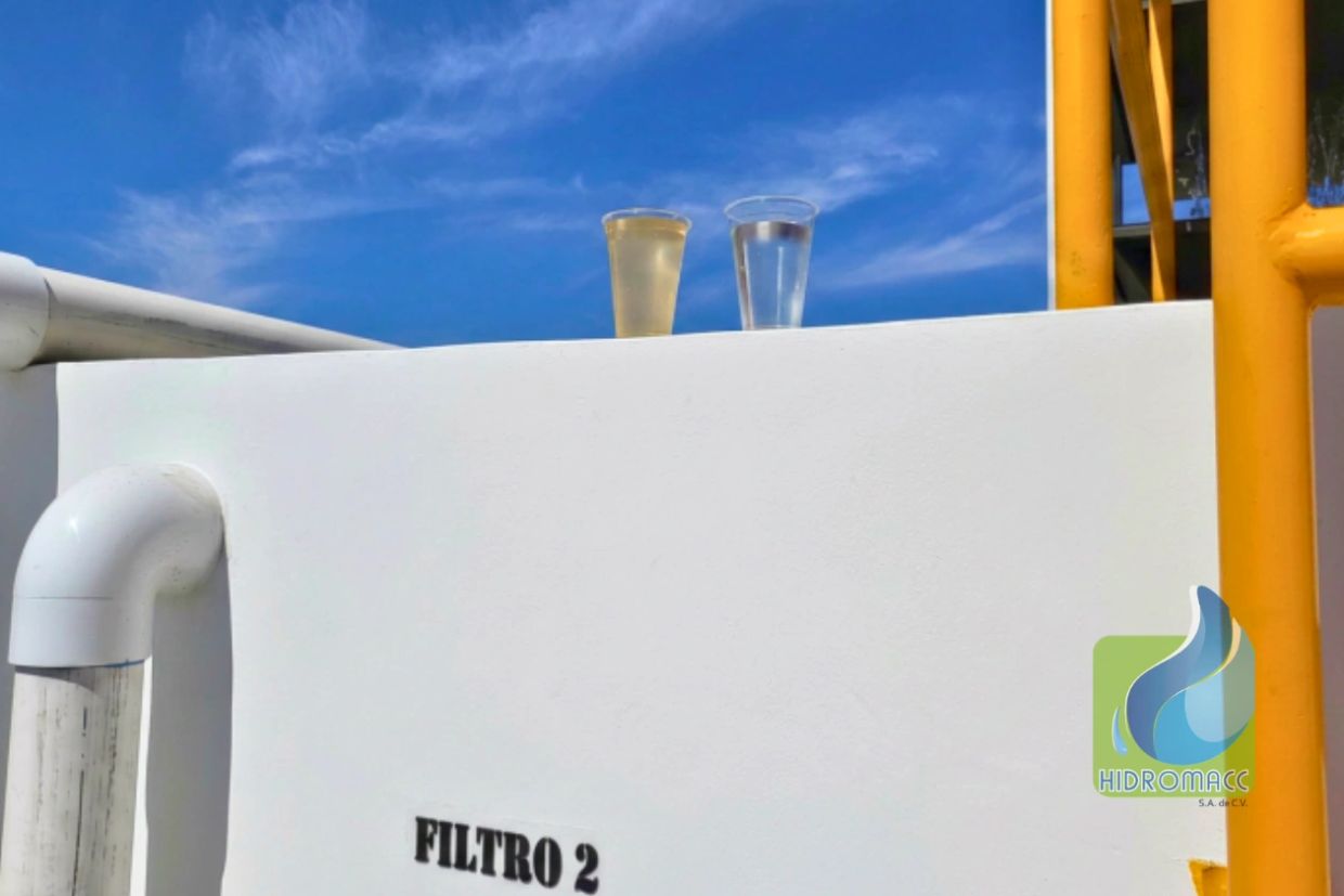 Dos vasos con agua sobre un filtro blanco.