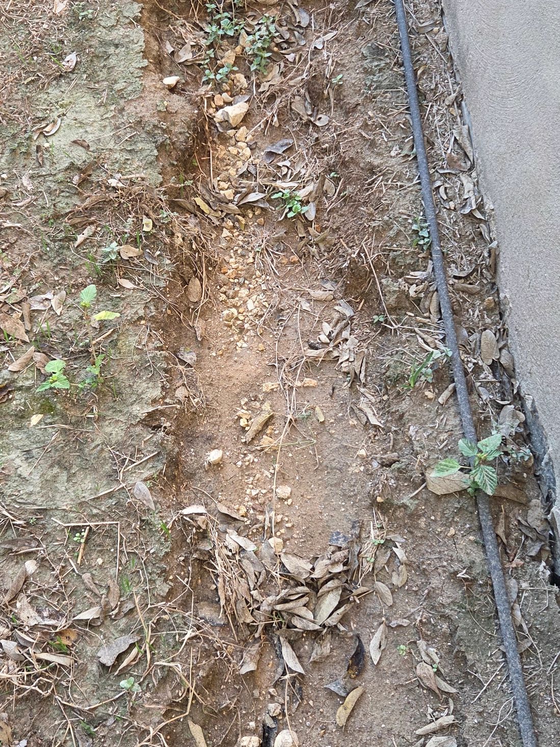 Got soil erosion? Install Seamless gutters from Aquaduct! Eliminate this before big shifting starts!