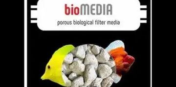 BIOMEDIA