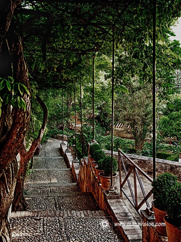 Cobblestone Stairs, Vines, Garden, Alhambra, Serenity