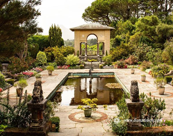 Atlantic Coast Garden, Pool, Serenity