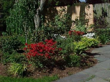 Flagstone curved walkway with accent raised bedding area planted with existing weeping specimen, per