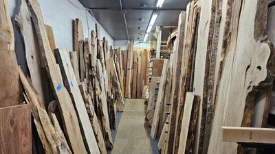 Stop in and brouse our selecgion of species from around the world.
