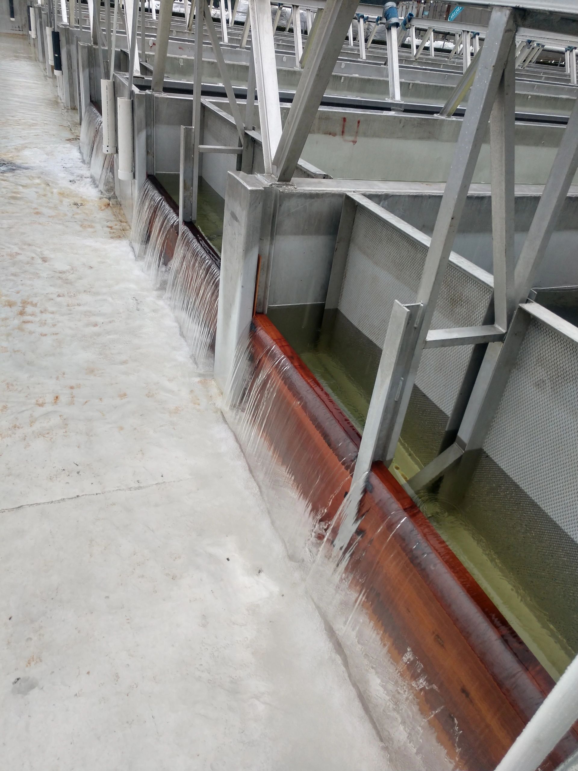 Damboards milled for one of the fish hatcheries of Prince Willian Sound Aquaculture Corporation  