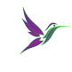 Fly2Wellness