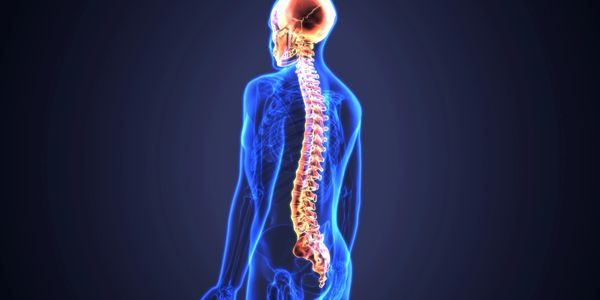 Neurology issues Cervical spondylitis, GB syndrome, slip disc, paralysis, Plasticity, brain injury
