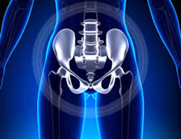 Urology Chronic Pelvic Pain, Erectile Dysfunction, Pelvic floor weakness, Urinary incontinence