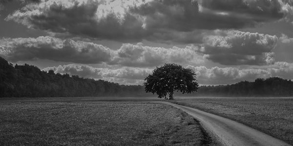 sustainable recycled fabrics