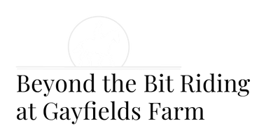 Beyond the Bit Riding
at
 Gayfields Farm