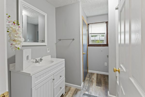 Bright bathroom with white vanity and wood-look flooring.
