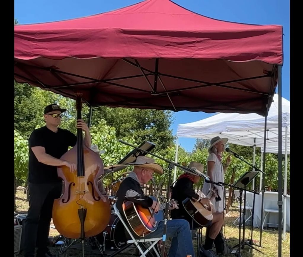 A band performs under a red canopy at an outdoor event on a sunny day.