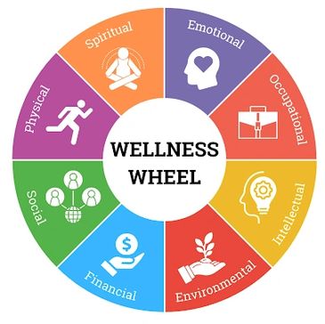 Colorful wellness wheel showing eight key dimensions of well-being.